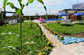 Дома для отпуска Blue House Yerevan Ереван Дом с 1 спальней-3